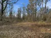 New Country Marsh Road, Levendale, Tas 7120-Image