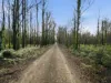 New Country Marsh Road, Levendale, Tas 7120-Image