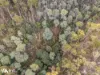 North Huon Road, Ranelagh, Tas 7109-Image