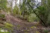North Huon Road, Ranelagh, Tas 7109-Image