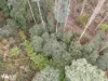 North Huon Road, Ranelagh, Tas 7109-Image