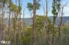 North Huon Road, Ranelagh, Tas 7109-Image