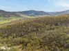 North Huon Road, Ranelagh, Tas 7109-Image