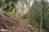 North Huon Road, Ranelagh, Tas 7109-Image