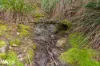 North Huon Road, Ranelagh, Tas 7109-Image