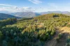 off Paddys Lane, Franklin, Tas 7113-Image