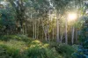 off Paddys Lane, Franklin, Tas 7113-Image