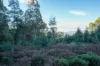 off Paddys Lane, Franklin, Tas 7113-Image