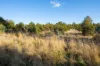 off Paddys Lane, Franklin, Tas 7113-Image