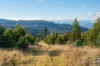 off Paddys Lane, Franklin, Tas 7113-Image