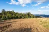 off Paddys Lane, Franklin, Tas 7113-Image