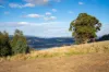 off Paddys Lane, Franklin, Tas 7113-Image