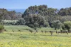 (P/L 1 - 4)  Lot 76 Sonning Loop, Yallingup, WA 6282-Image