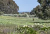 (P/L 1 - 4)  Lot 76 Sonning Loop, Yallingup, WA 6282-Image