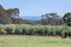 (P/L 1 - 4)  Lot 76 Sonning Loop, Yallingup, WA 6282-Image