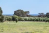 (P/L 1 - 4)  Lot 76 Sonning Loop, Yallingup, WA 6282-Image