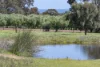 (P/L 1 - 4)  Lot 76 Sonning Loop, Yallingup, WA 6282-Image