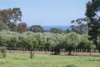 (P/L 1 - 4)  Lot 76 Sonning Loop, Yallingup, WA 6282-Image