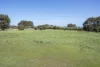 (P/L 1 - 4)  Lot 76 Sonning Loop, Yallingup, WA 6282-Image