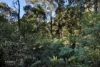 Pages Road, Moorleah, Tas 7325-Image