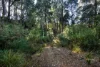 Pages Road, Moorleah, Tas 7325-Image