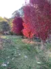 Part 1420 Goobarragandra Road, Tumut, NSW 2720-Image