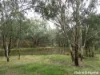 Part 4735 Olympic Highway, Young, NSW 2594