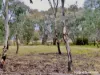 Part 4735 Olympic Highway, Young, NSW 2594-Image