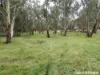 Part 4735 Olympic Highway, Young, NSW 2594-Image