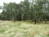 Part 4735 Olympic Highway, Young, NSW 2594-Image