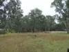 Part 4735 Olympic Highway, Young, NSW 2594-Image