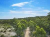 PID 1876354 North Ansons Road, Ansons Bay, Tas 7264-Image