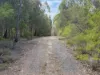 PID 1876354 North Ansons Road, Ansons Bay, Tas 7264-Image