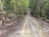 PID 1876354 North Ansons Road, Ansons Bay, Tas 7264-Image