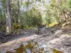 PID 2127208 North Ansons Road, Ansons Bay, Tas 7264-Image