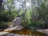 PID 2127208 North Ansons Road, Ansons Bay, Tas 7264-Image