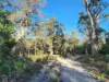 PID 2127208 North Ansons Road, Ansons Bay, Tas 7264-Image