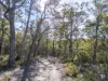 PID 2127208 North Ansons Road, Ansons Bay, Tas 7264-Image