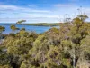 PID 2127208 North Ansons Road, Ansons Bay, Tas 7264-Image