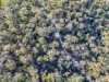 PID 2127208 North Ansons Road, Ansons Bay, Tas 7264-Image