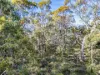 PID 2127208 North Ansons Road, Ansons Bay, Tas 7264-Image