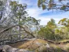 PID 2127208 North Ansons Road, Ansons Bay, Tas 7264-Image