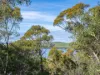 PID 2127208 North Ansons Road, Ansons Bay, Tas 7264-Image