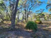 PID 2127208 North Ansons Road, Ansons Bay, Tas 7264-Image