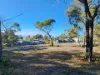 PID 2127208 North Ansons Road, Ansons Bay, Tas 7264-Image