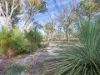 PID 2127208 North Ansons Road, Ansons Bay, Tas 7264-Image