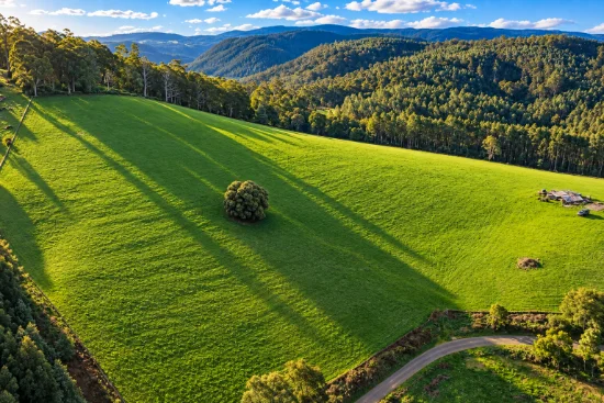 PID 9317373 Powers Road, Pyengana, Tas 7216