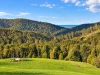PID 9317373 Powers Road, Pyengana, Tas 7216-Image