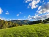 PID 9317373 Powers Road, Pyengana, Tas 7216-Image