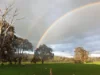PL 802 Scotts Brook Road, Scotts Brook, WA 6244-Image